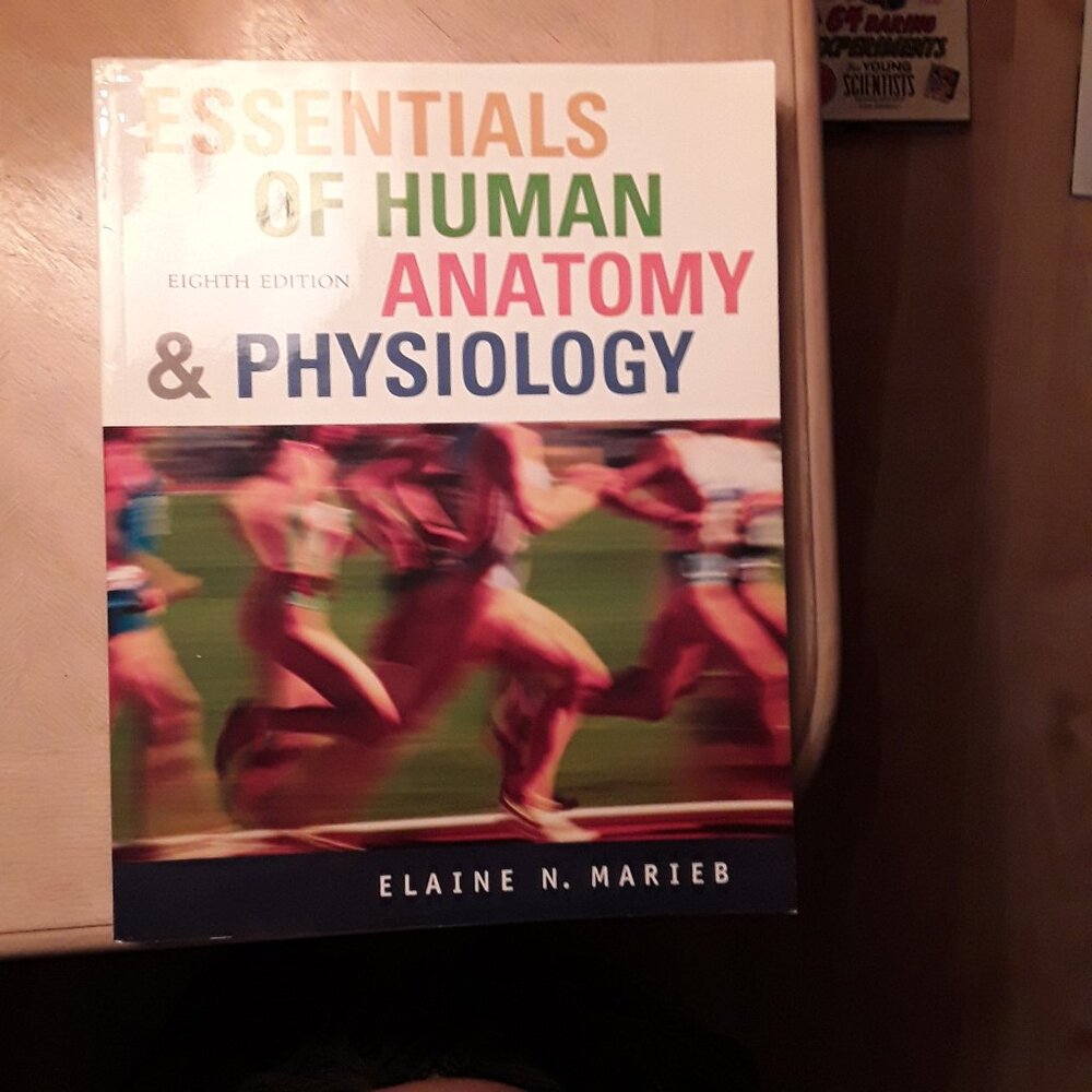 Essentials of Human Anatomy & Physiology, comes with DVD (unopened)